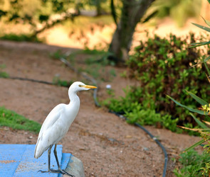 Similar image 815940