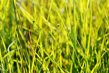 Similar image 815966