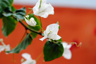 Similar image 815968