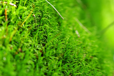 Similar image 815979