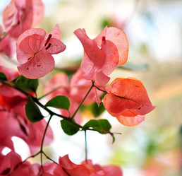 Similar image 815981