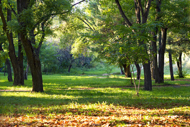 Similar image 815982