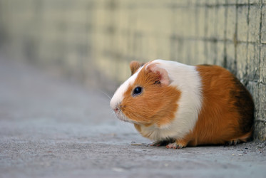 Similar image 815984