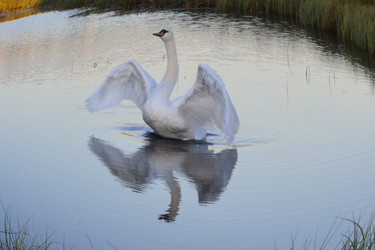 Similar image 816001