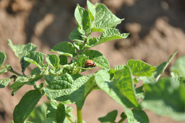 Similar image 816014