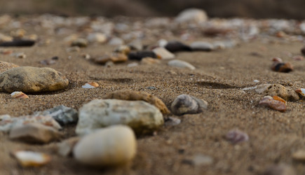 Similar image 816022