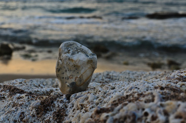 Similar image 816023