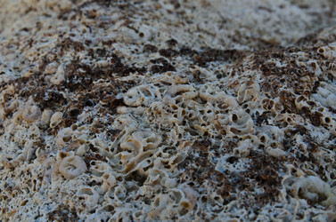 Similar image 816027