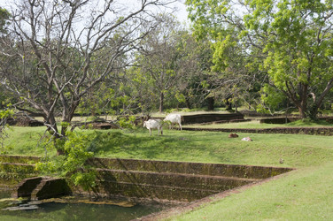 Similar image 816053