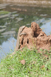 Similar image 816064