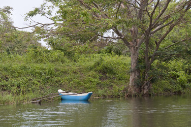 Similar image 816091