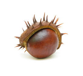 Similar image 816123