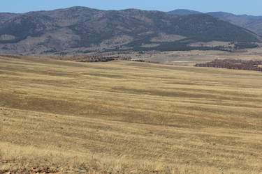 Similar image 816144