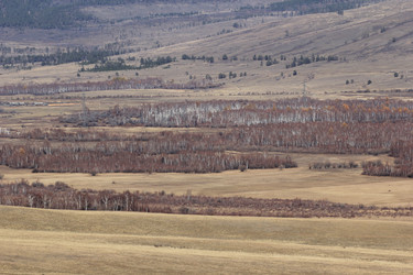 Similar image 816145