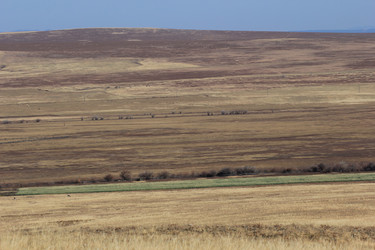 Similar image 816147