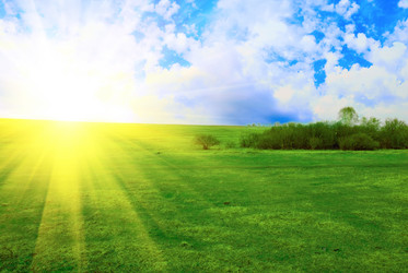 Similar image 816165