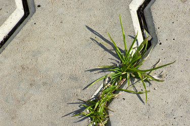 Similar image 816187