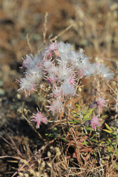 Similar image 816235