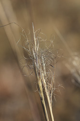 Similar image 816237