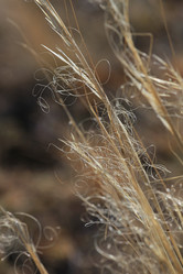 Similar image 816238