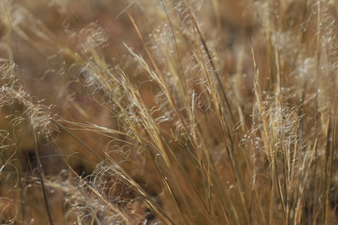 Similar image 816240