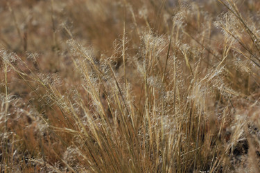 Similar image 816242