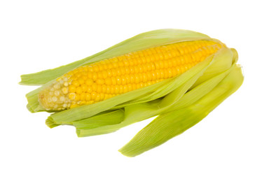 Similar image 816248