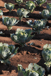 Similar image 816254