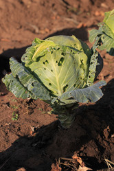 Similar image 816255