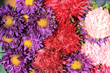 Similar image 816261