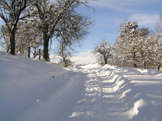 Similar image 816283