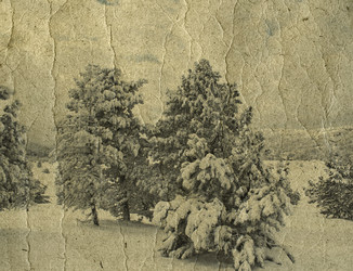 Similar image 816296