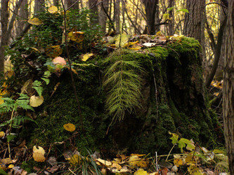 Similar image 816297