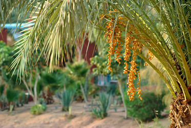 Similar image 816337