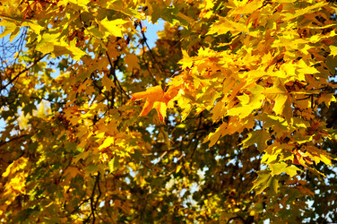 Similar image 816340