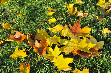 Similar image 816344