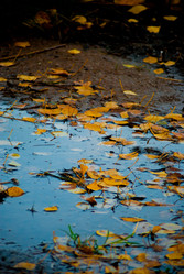 Similar image 816346