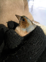 Similar image 816354