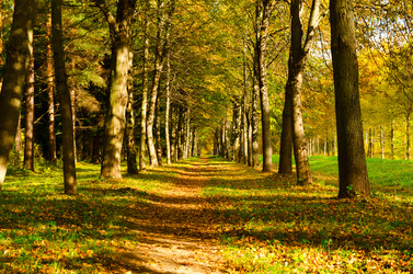 Similar image 816407