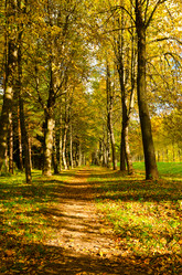 Similar image 816408