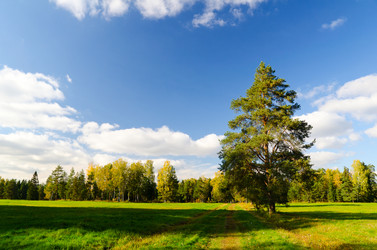 Similar image 816413