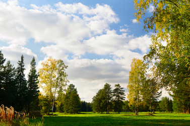 Similar image 816414