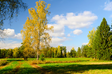 Similar image 816415