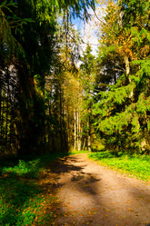 Similar image 816416