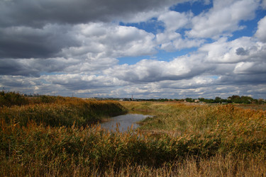 Similar image 816441