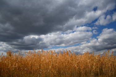 Similar image 816442