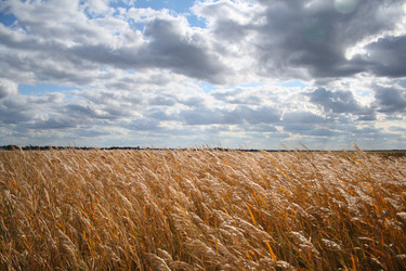 Similar image 816443