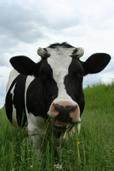 Similar image 816465