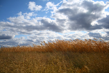 Similar image 816526