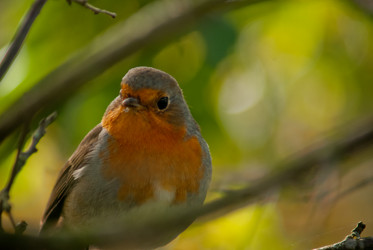 Similar image 816538